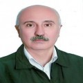 علی حرفت پویان